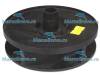 Крыльчатка насоса Speck Badu 93/60 (арт. 2902.023.006) Крыльчатка насоса Speck Badu 93/60 (арт. 2902.023.006)