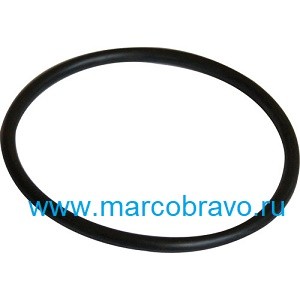 Уплотнительное кольцо адаптера насоса Pentair Swimmey, артикул R111P1070
